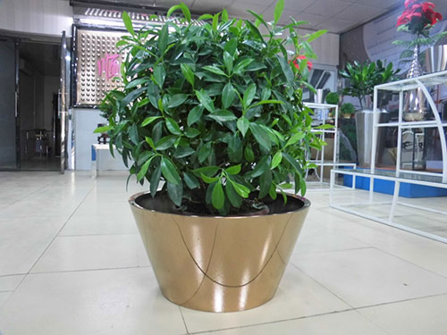 廣東汕頭不銹鋼花盆哪家做的好？